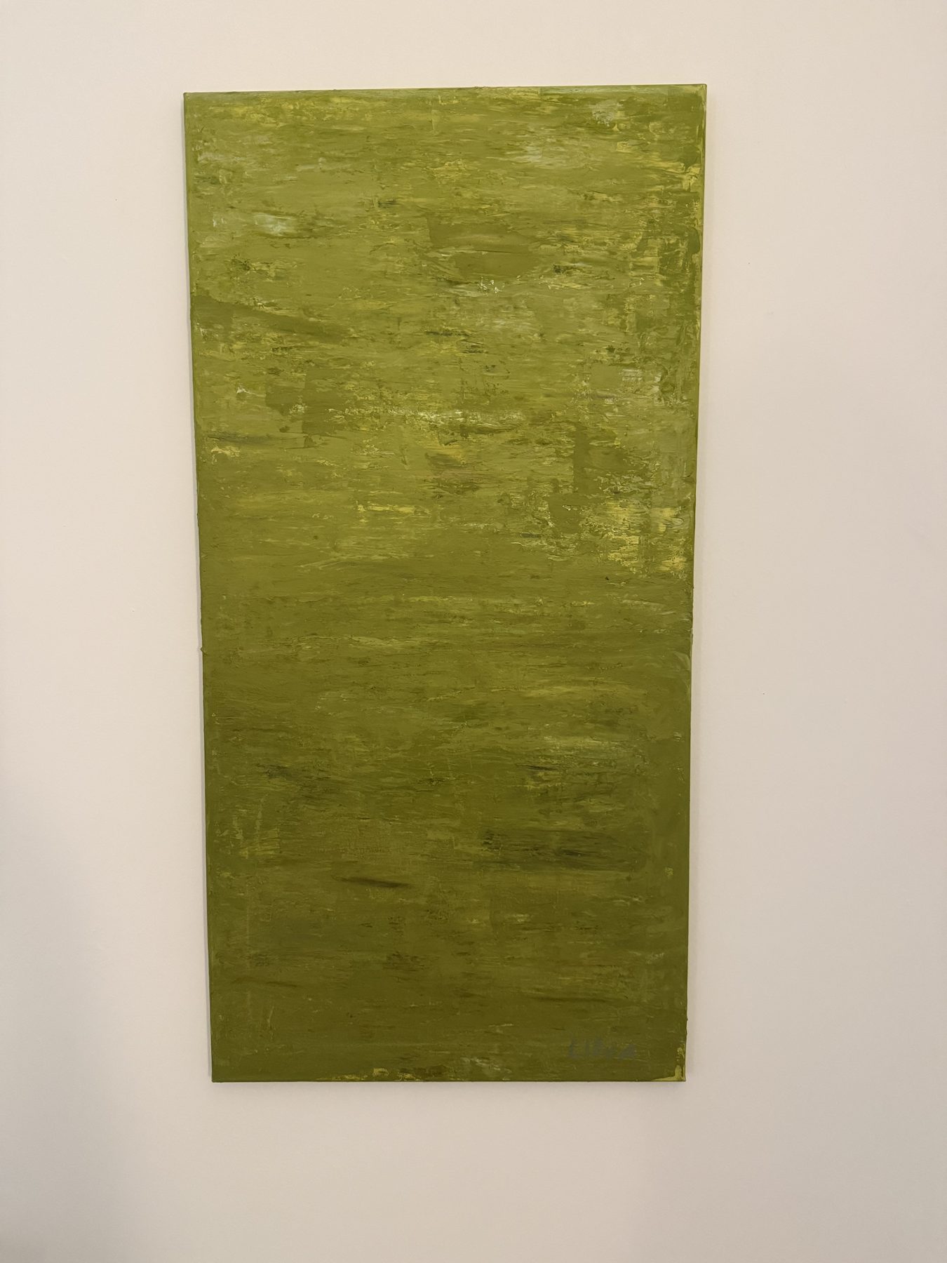 Entropische Ruhe, Acryl auf Leinwand, 2026, abstrakte Landschaft in Olivgrün